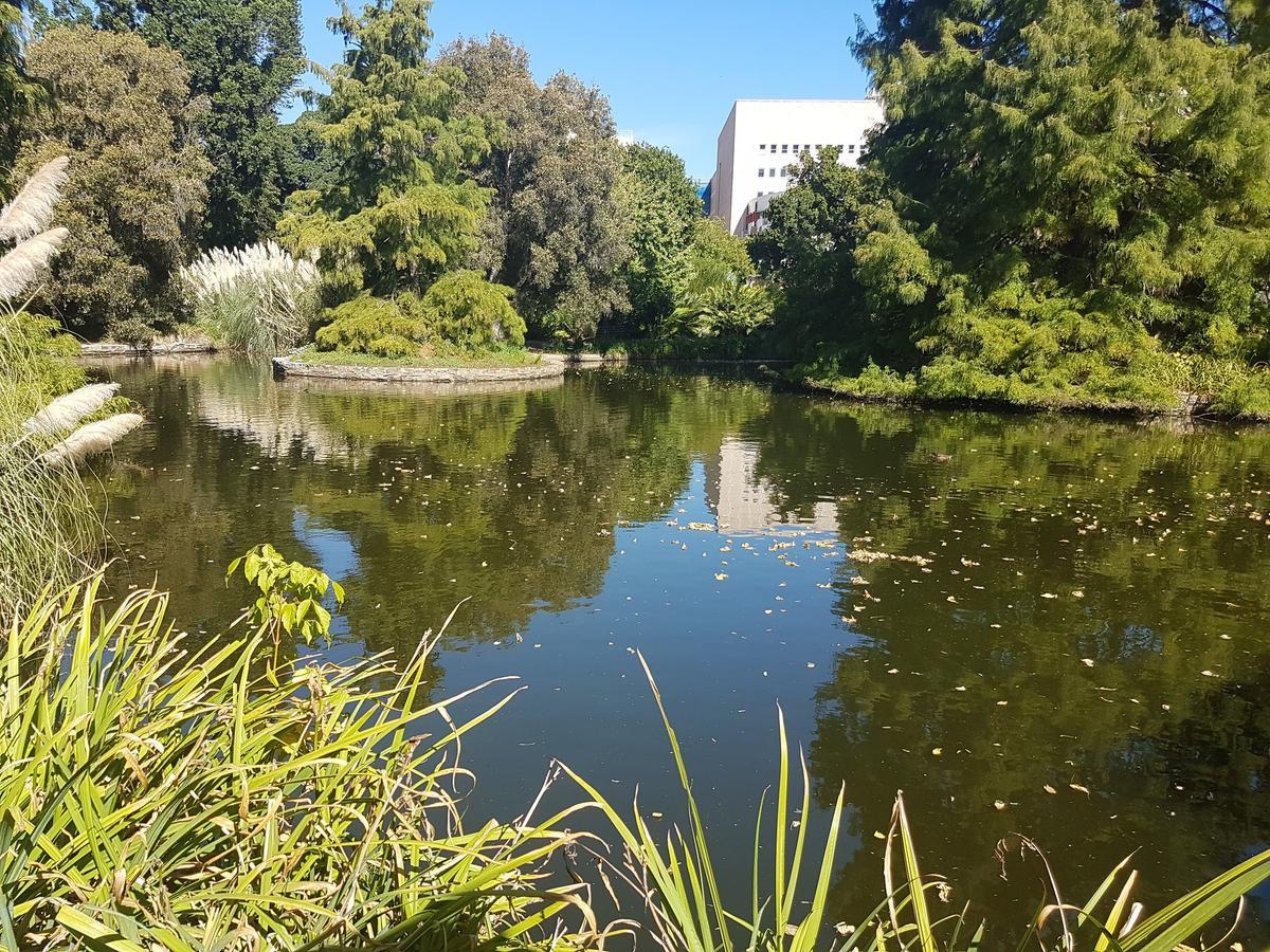 Adelaide Style Accommodation-Getaway In North Adelaide- Close To City Экстерьер фото